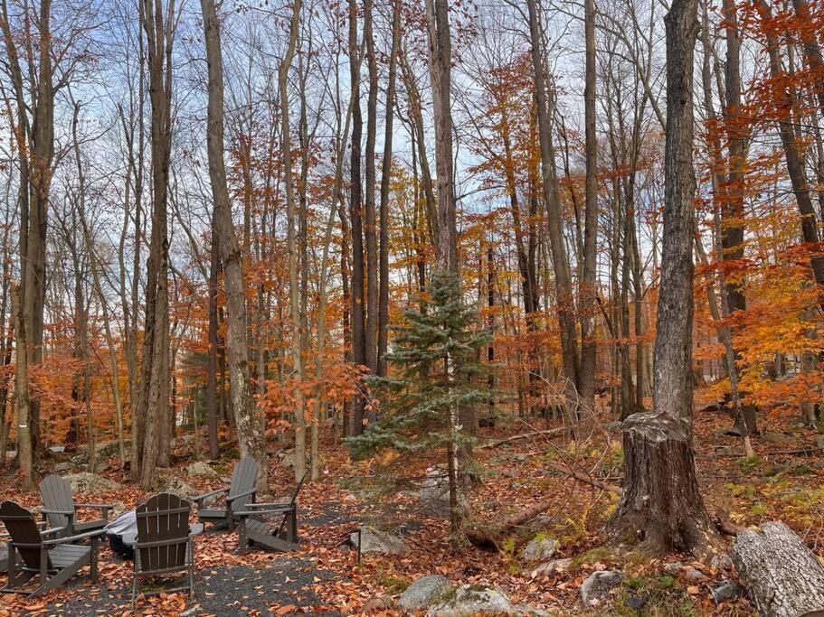Stylish And Cozy Cabin, Walking Distance To Big Bass Lake Gouldsboro Dış mekan fotoğraf