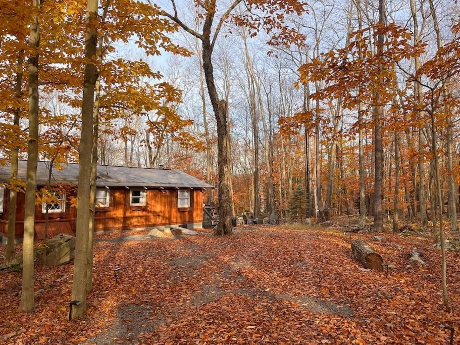 Stylish And Cozy Cabin, Walking Distance To Big Bass Lake Gouldsboro Dış mekan fotoğraf
